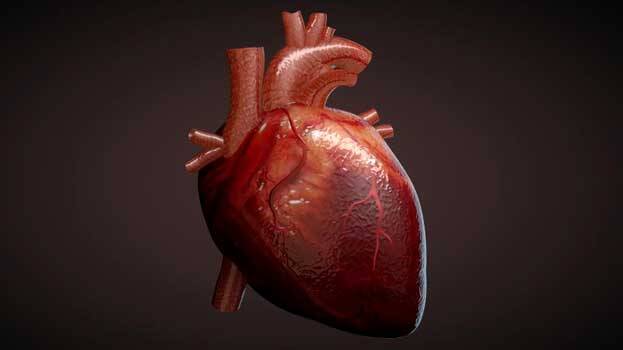 Негативное влияние алкоголя на работу сердечной мышцы